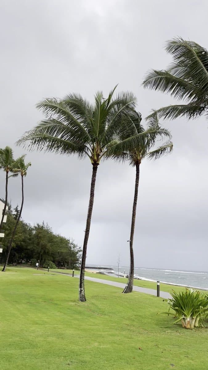 Sheraton Kauai Resort, second view